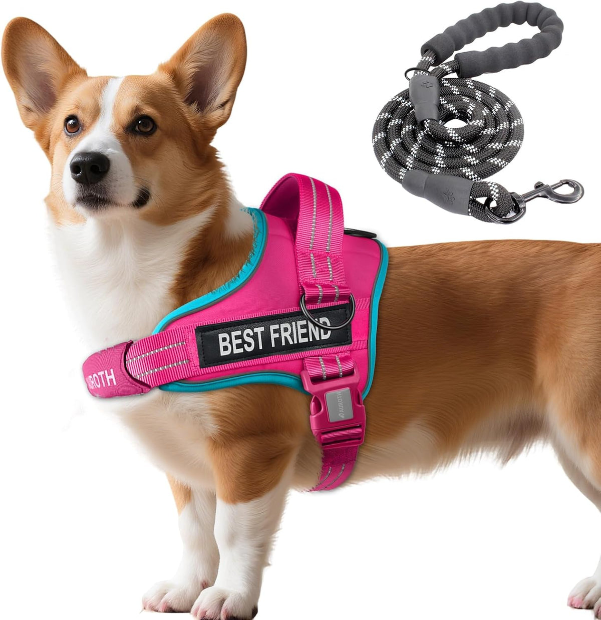 AUROTH Dog Harness and Leash Set for Medium Sized Dog, No Pull Dog Vest
