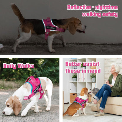 AUROTH Dog Harness and Leash Set for Medium Sized Dog, No Pull Dog Vest