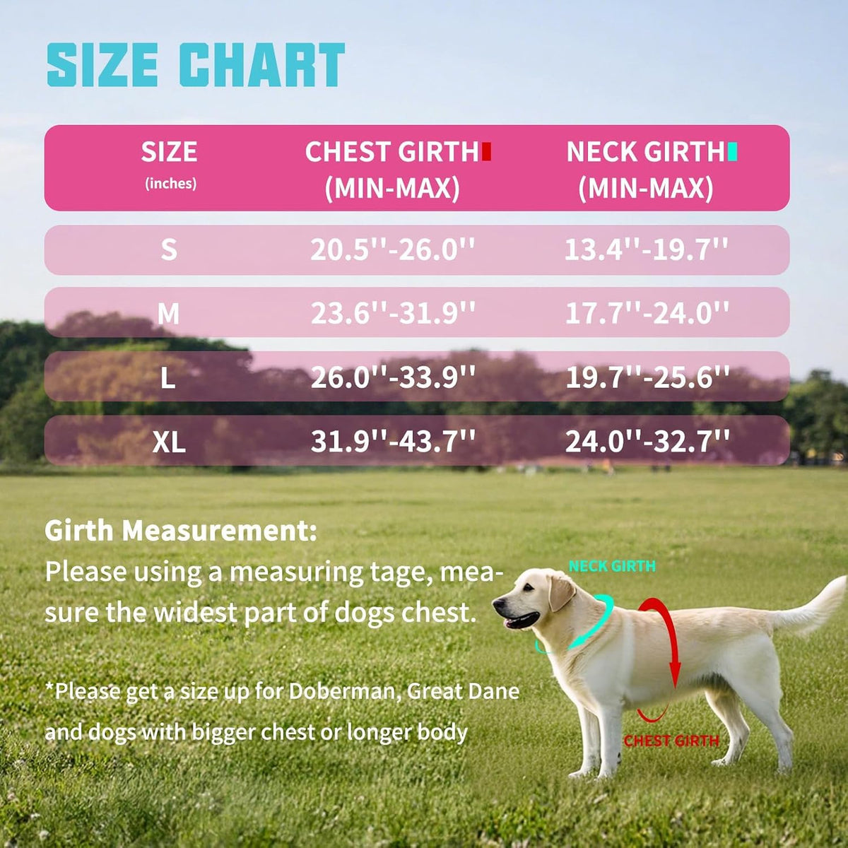 AUROTH Dog Harness and Leash Set for Medium Sized Dog, No Pull Dog Vest