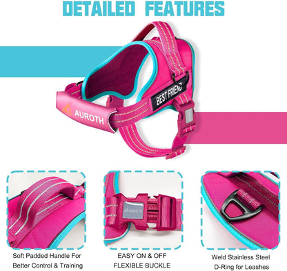 AUROTH Dog Harness and Leash Set for Medium Sized Dog, No Pull Dog Vest