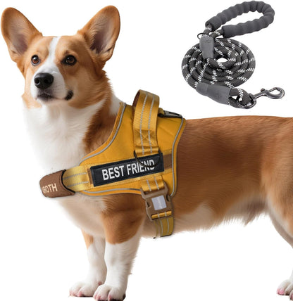 AUROTH Dog Harness and Leash Set for Medium Sized Dog, No Pull Dog Vest