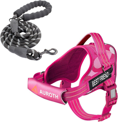 AUROTH Dog Harness and Leash Set for Medium Sized Dog, No Pull Dog Vest