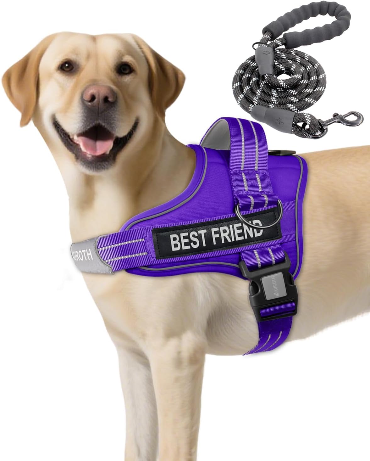 AUROTH Dog Harness and Leash Set for Medium Sized Dog, No Pull Dog Vest