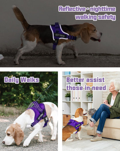 AUROTH Dog Harness and Leash Set for Medium Sized Dog, No Pull Dog Vest