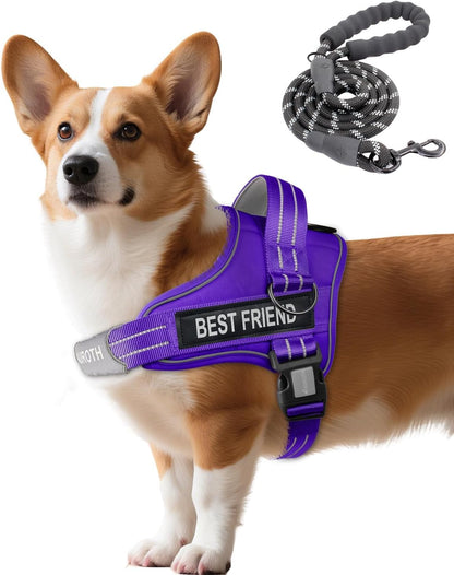 AUROTH Dog Harness and Leash Set for Medium Sized Dog, No Pull Dog Vest