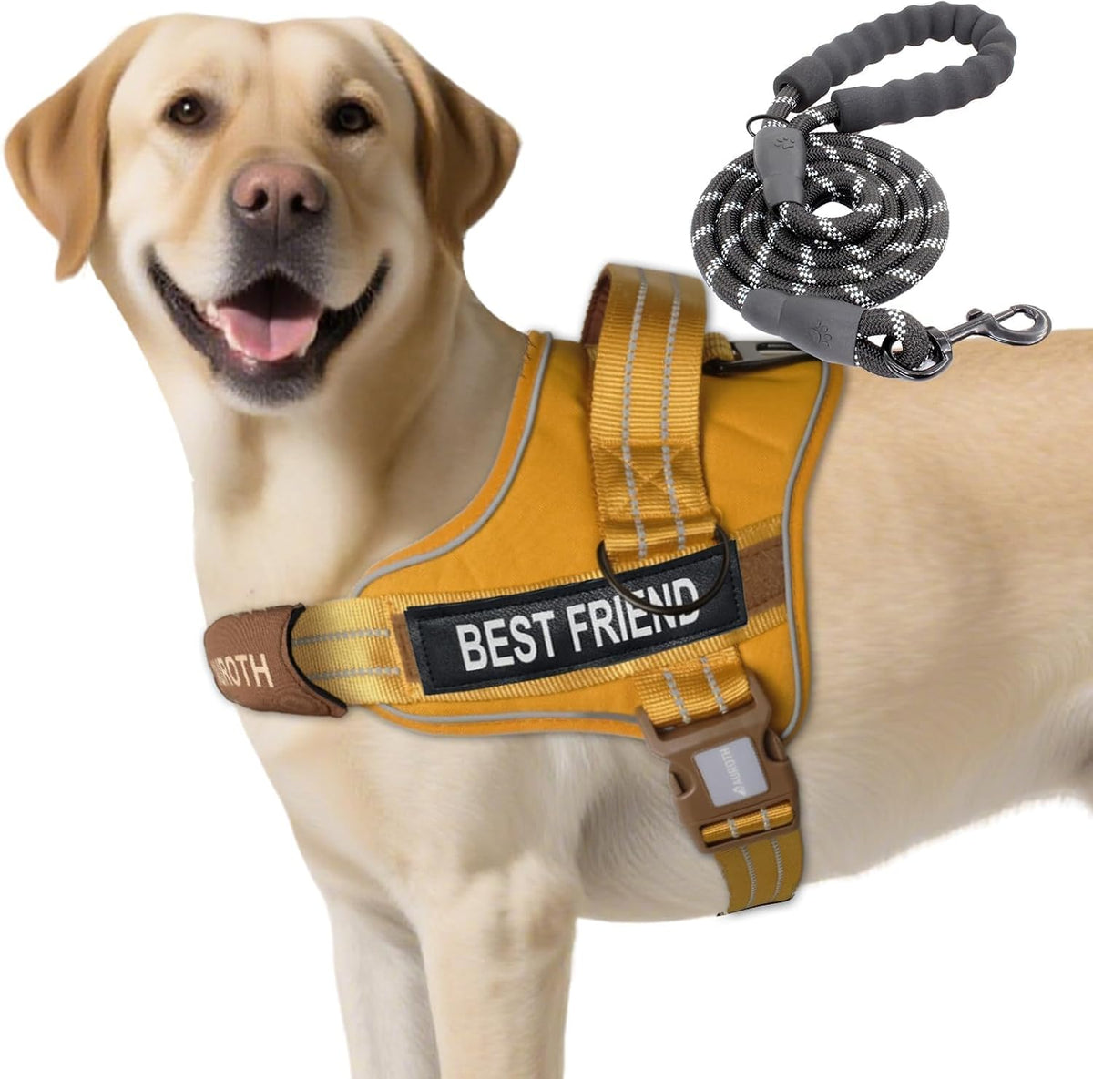 AUROTH Dog Harness and Leash Set for Medium Sized Dog, No Pull Dog Vest