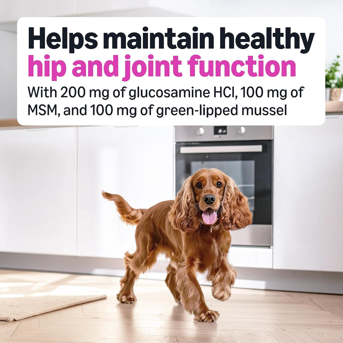 Dog Hip & Joint Daily Supplement Chews with Glucosamine, MSM, and Vitamin C, Duck Flavored, Packaging May Vary
