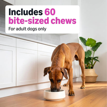 Dog Hip & Joint Daily Supplement Chews with Glucosamine, MSM, and Vitamin C, Duck Flavored, Packaging May Vary