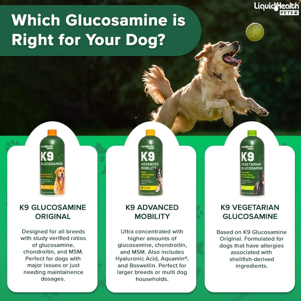 Pets K9 Liquid Glucosamine for Dogs, Puppies, Senior Canines with Chondroitin, MSM, Hyaluronic Acid - Dog Vitamins for Hip & Joint Health, Dog Joint Oil, Joint Juice - Made in USA (32 oz)