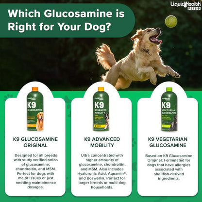 Pets K9 Liquid Glucosamine for Dogs, Puppies, Senior Canines with Chondroitin, MSM, Hyaluronic Acid - Dog Vitamins for Hip & Joint Health, Dog Joint Oil, Joint Juice - Made in USA (32 oz)