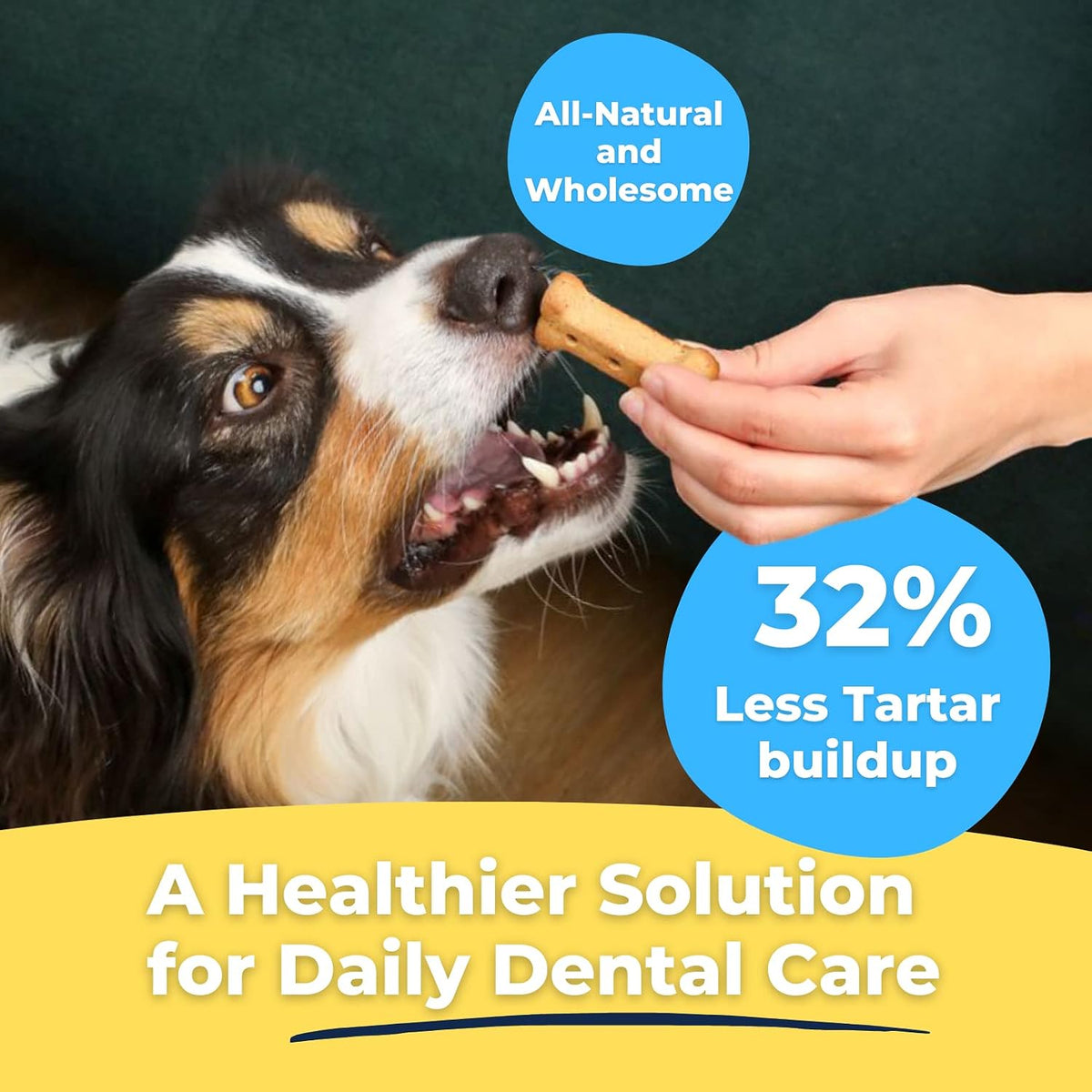® Dental Dog Biscuits, Tartar Control, Chicken, 26 oz