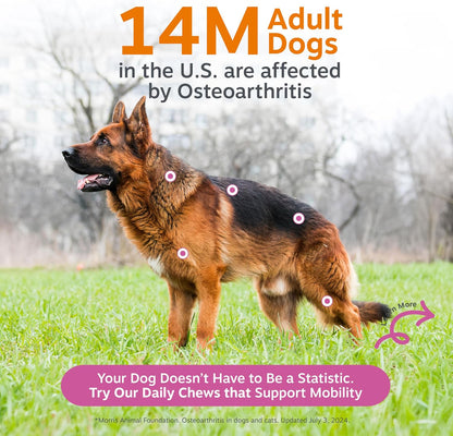 Glucosamine for Dogs - Dog Joint Supplement, Duck