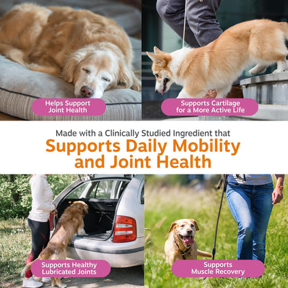 Glucosamine for Dogs - Dog Joint Supplement, Duck