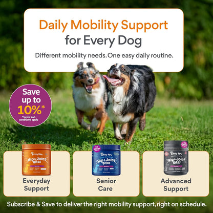 Glucosamine for Dogs - Dog Joint Supplement, Duck