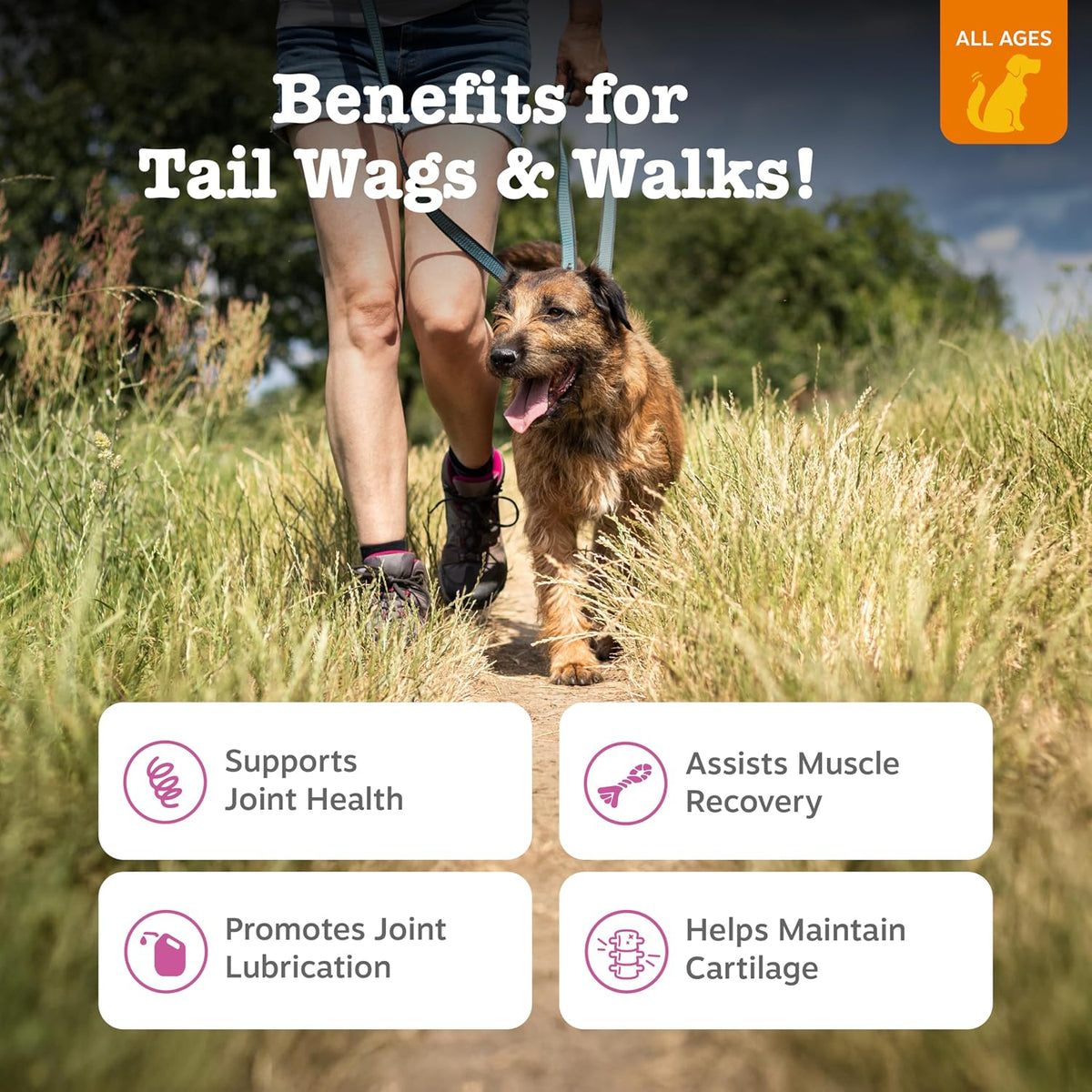 Glucosamine for Dogs - Dog Joint Supplement, Duck