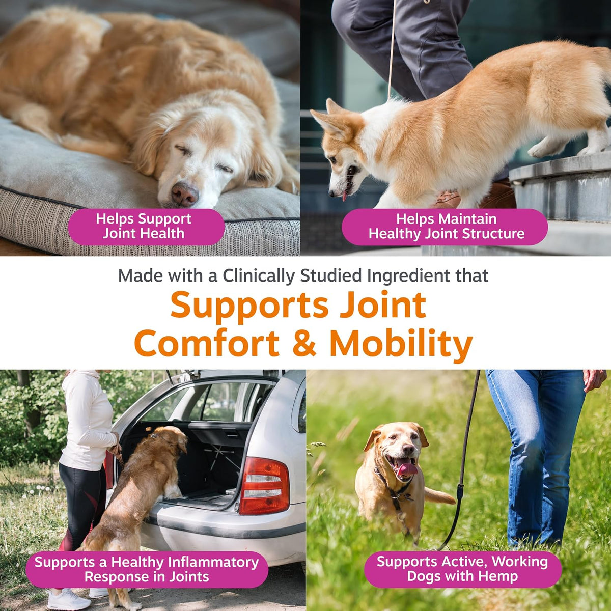 Glucosamine for Dogs - Dog Joint Supplement, Duck