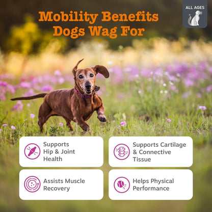 Glucosamine for Dogs - Dog Joint Supplement, Duck