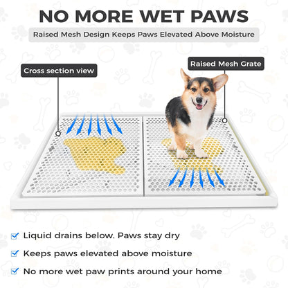 Dog Pee Pad Holder with Raised Mesh Grate – Expandable Indoor Puppy Potty Tray, Heavy Duty Plastic, Keeps Paws Dry, Fits Standard 24x15 Pads –