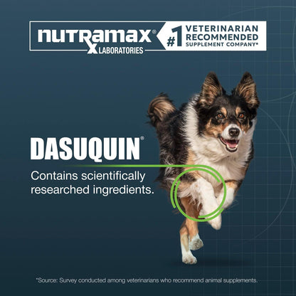 Nutramax Dasuquin Joint Supplement for Large Dogs, Soft Chews