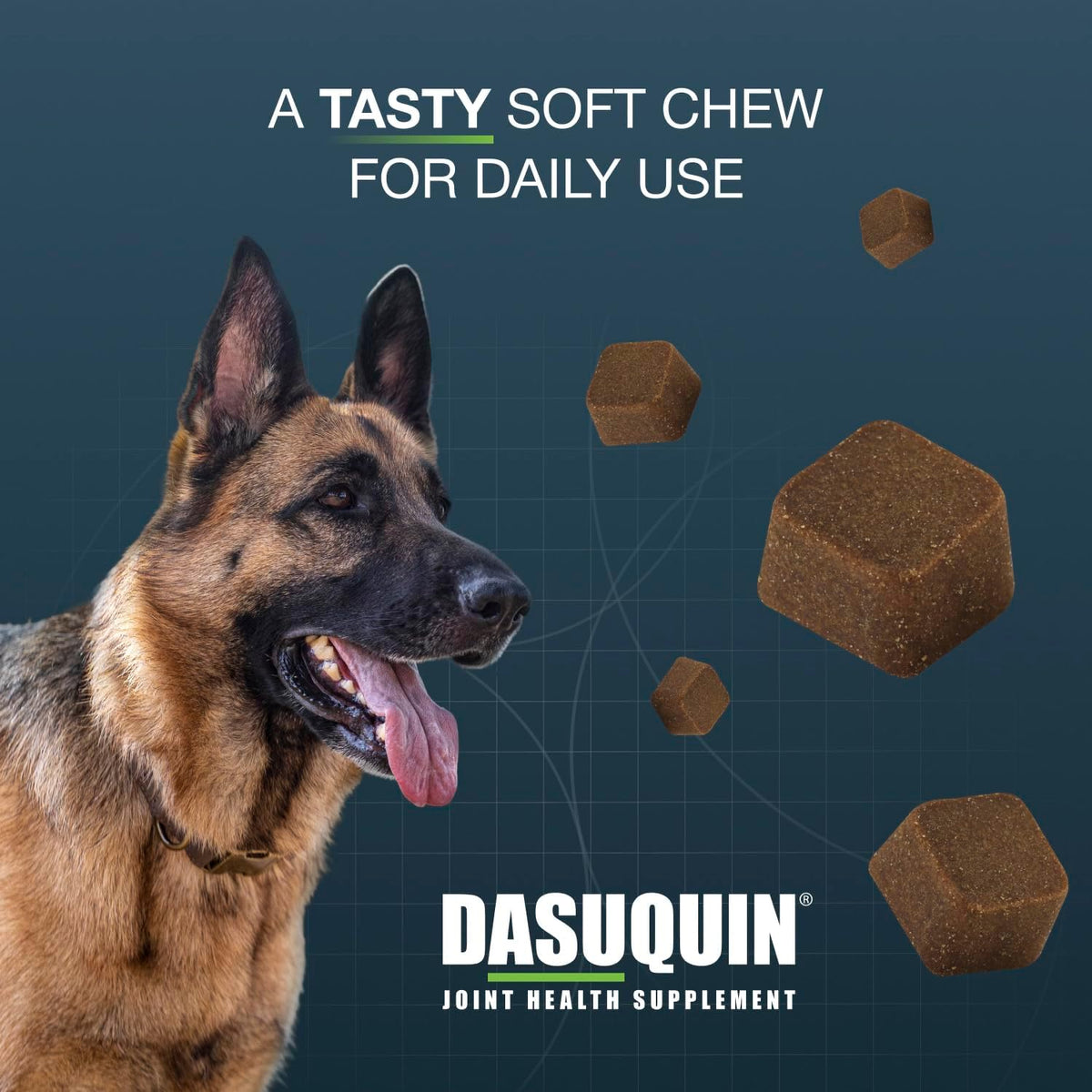 Nutramax Dasuquin Joint Supplement for Large Dogs, Soft Chews