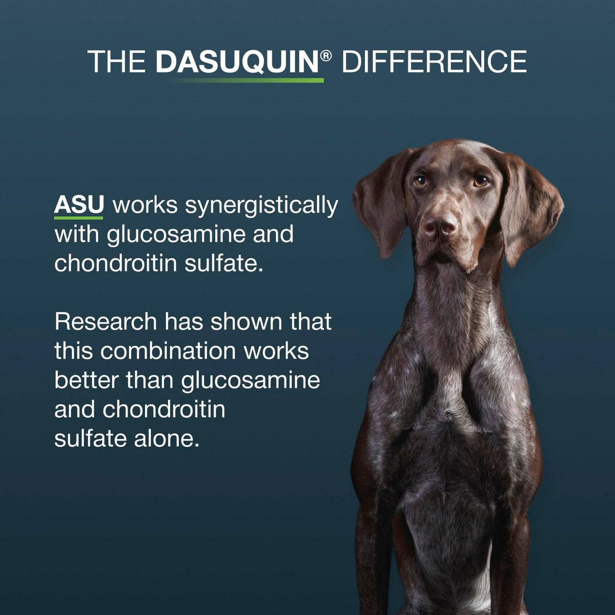 Nutramax Dasuquin Joint Supplement for Large Dogs, Soft Chews