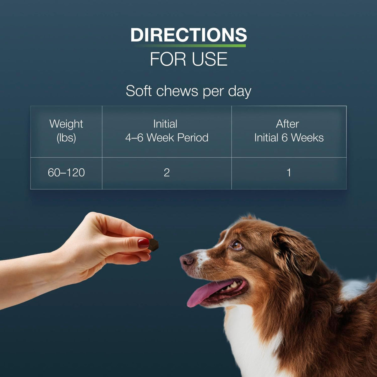 Nutramax Dasuquin Joint Supplement for Large Dogs, Soft Chews