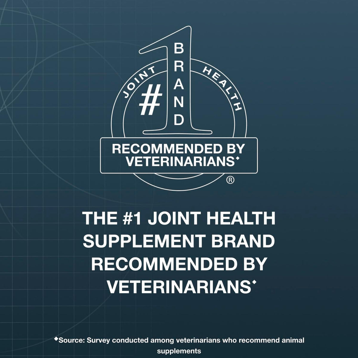 Nutramax Dasuquin Joint Supplement for Large Dogs, Soft Chews