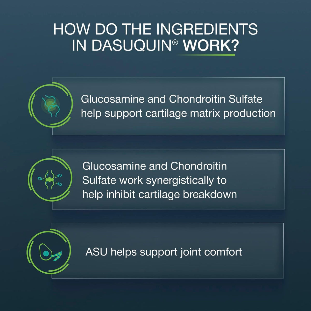 Nutramax Dasuquin Joint Supplement for Large Dogs, Soft Chews