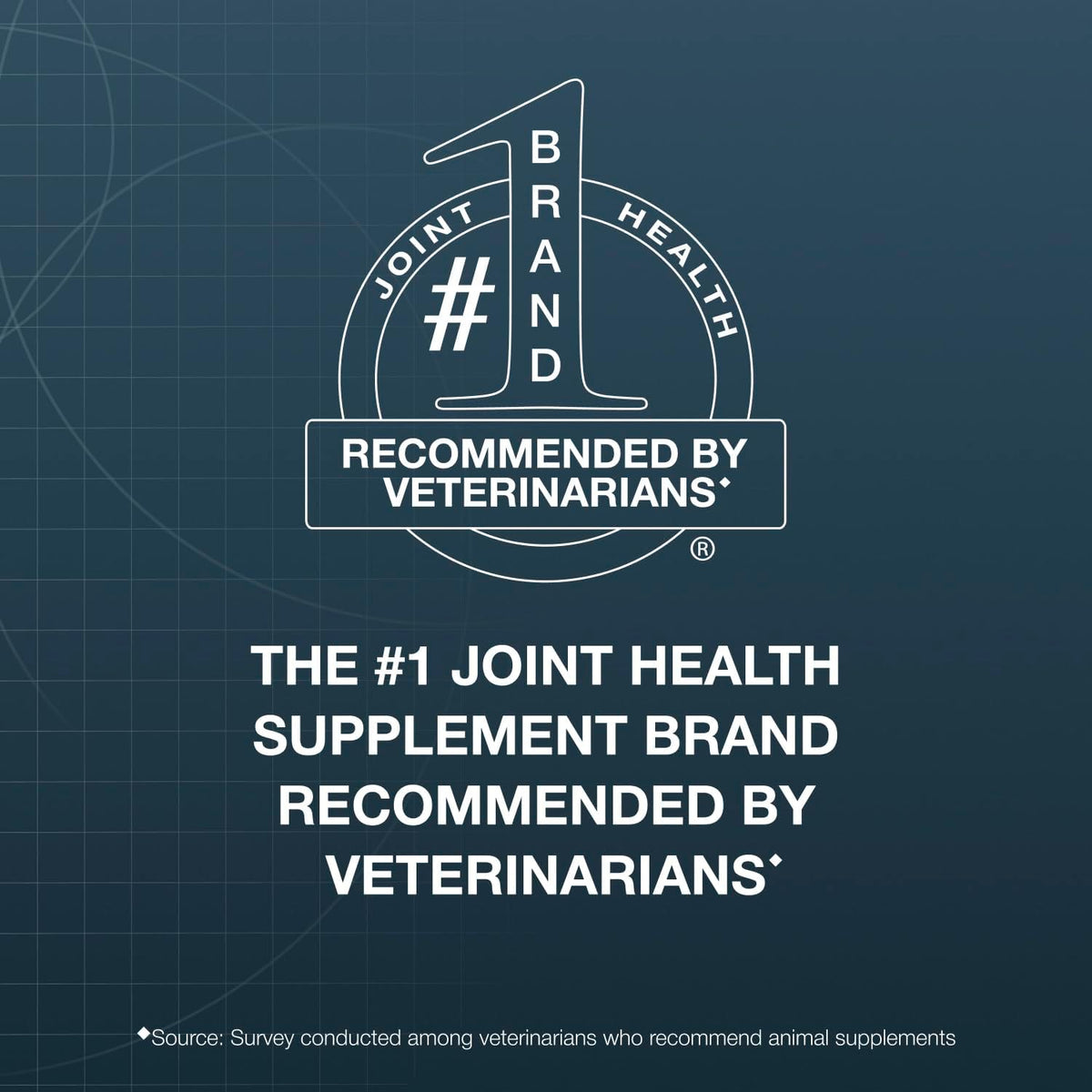 Nutramax Dasuquin Joint Supplement for Large Dogs, Soft Chews