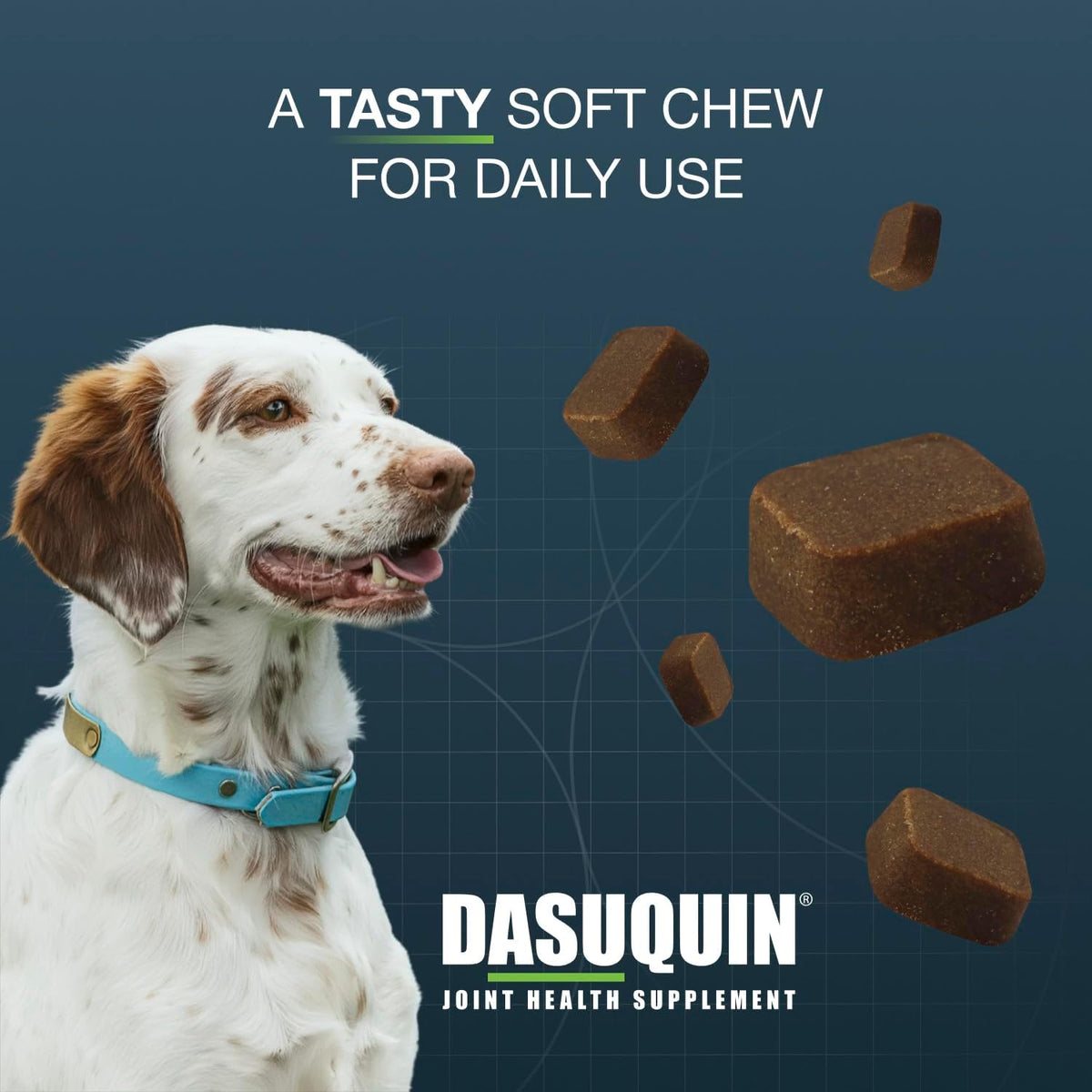 Nutramax Dasuquin Joint Supplement for Large Dogs, Soft Chews