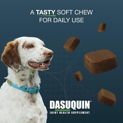 Nutramax Dasuquin Joint Supplement for Large Dogs, Soft Chews