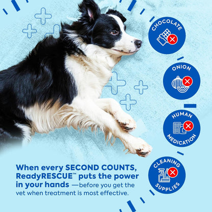 Activated Charcoal for Dogs and Cats Clinically Studied 1Pack