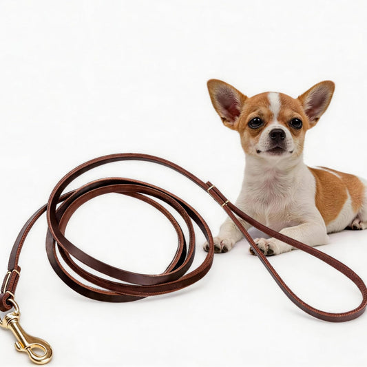 Genuine Thin Leather Dog Leash for Small Dogs, Leather Training Dog Leash for Medium Dogs, Puppy, Cats, Up to 15 lb, 1/3 Inch Wide