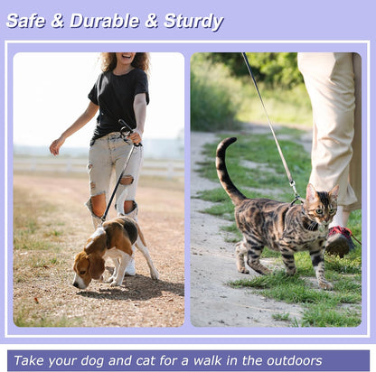 Genuine Thin Leather Dog Leash for Small Dogs, Leather Training Dog Leash for Medium Dogs, Puppy, Cats, Up to 15 lb, 1/3 Inch Wide