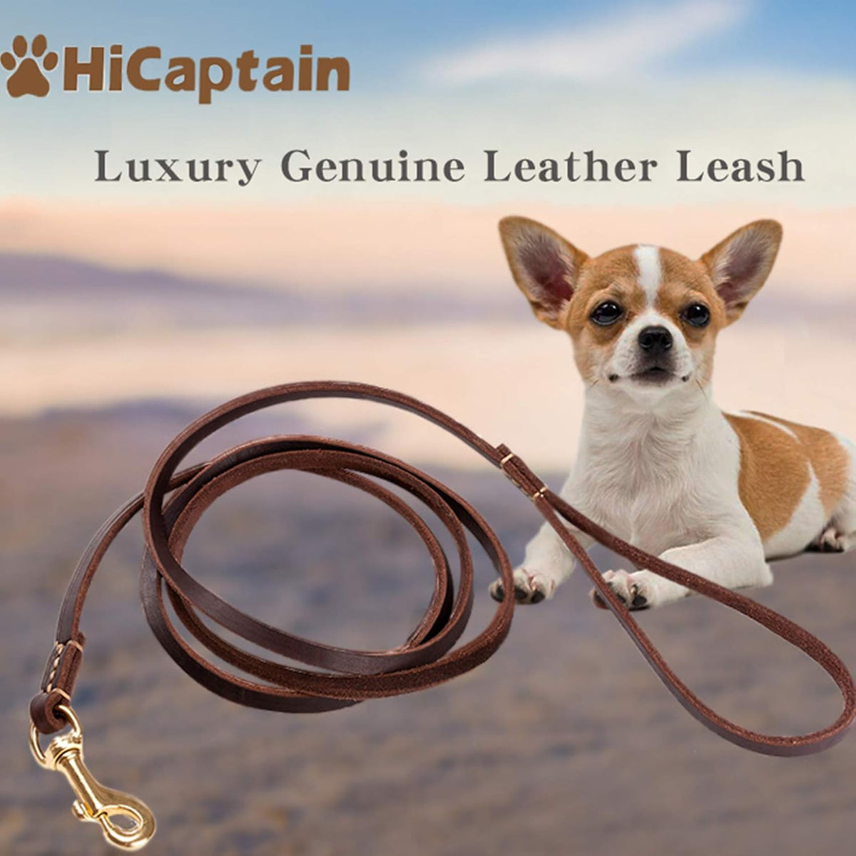 Genuine Thin Leather Dog Leash for Small Dogs, Leather Training Dog Leash for Medium Dogs, Puppy, Cats, Up to 15 lb, 1/3 Inch Wide
