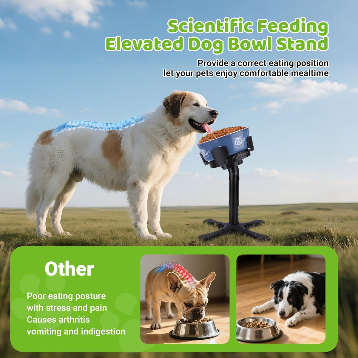 Dog Bowls Elevated Adjustable Stand, Raised Bowl with 3 Heights & Tilted Feeding Stand, Compatible with Various Bowls, for Medium & Large Breeds Black