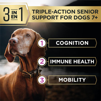 AdvantEDGE Senior Support Plus Small Breed Shredded Blend Chicken and Rice Formula Dry Dog Food - 3.5 lb Bag