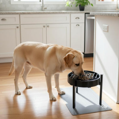 Adjustable Width Dog Bowl Holder - Single Bowl Feeder for Medium to Large Breed Dogs, fits Bowls from 8-11 inches, Sturdy Metal Construction, Ergonomic Design (Bowl not Included)