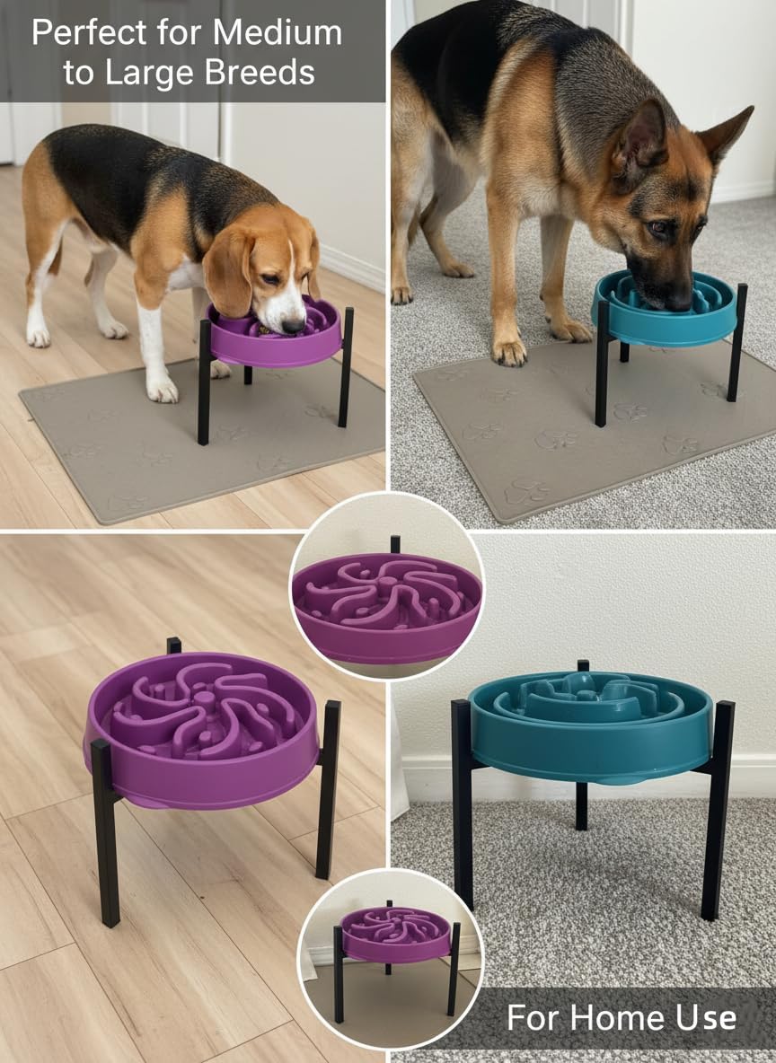 Adjustable Width Dog Bowl Holder - Single Bowl Feeder for Medium to Large Breed Dogs, fits Bowls from 8-11 inches, Sturdy Metal Construction, Ergonomic Design (Bowl not Included)
