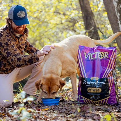 Professional Dry Dog Food - Gluten-Free Active Dog Kibble, 5 lb