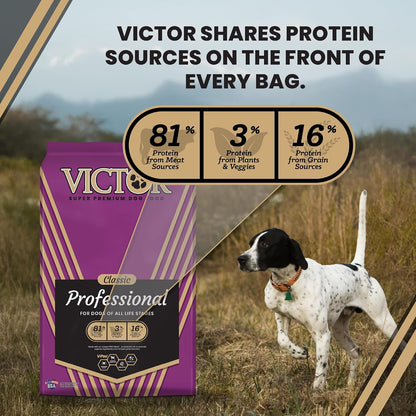 Professional Dry Dog Food - Gluten-Free Active Dog Kibble, 5 lb