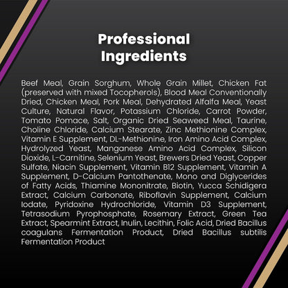 Professional Dry Dog Food - Gluten-Free Active Dog Kibble, 5 lb