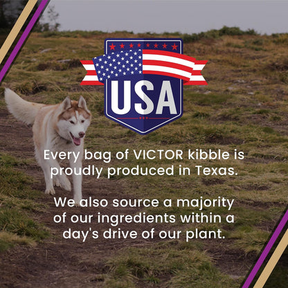 Professional Dry Dog Food - Gluten-Free Active Dog Kibble, 5 lb
