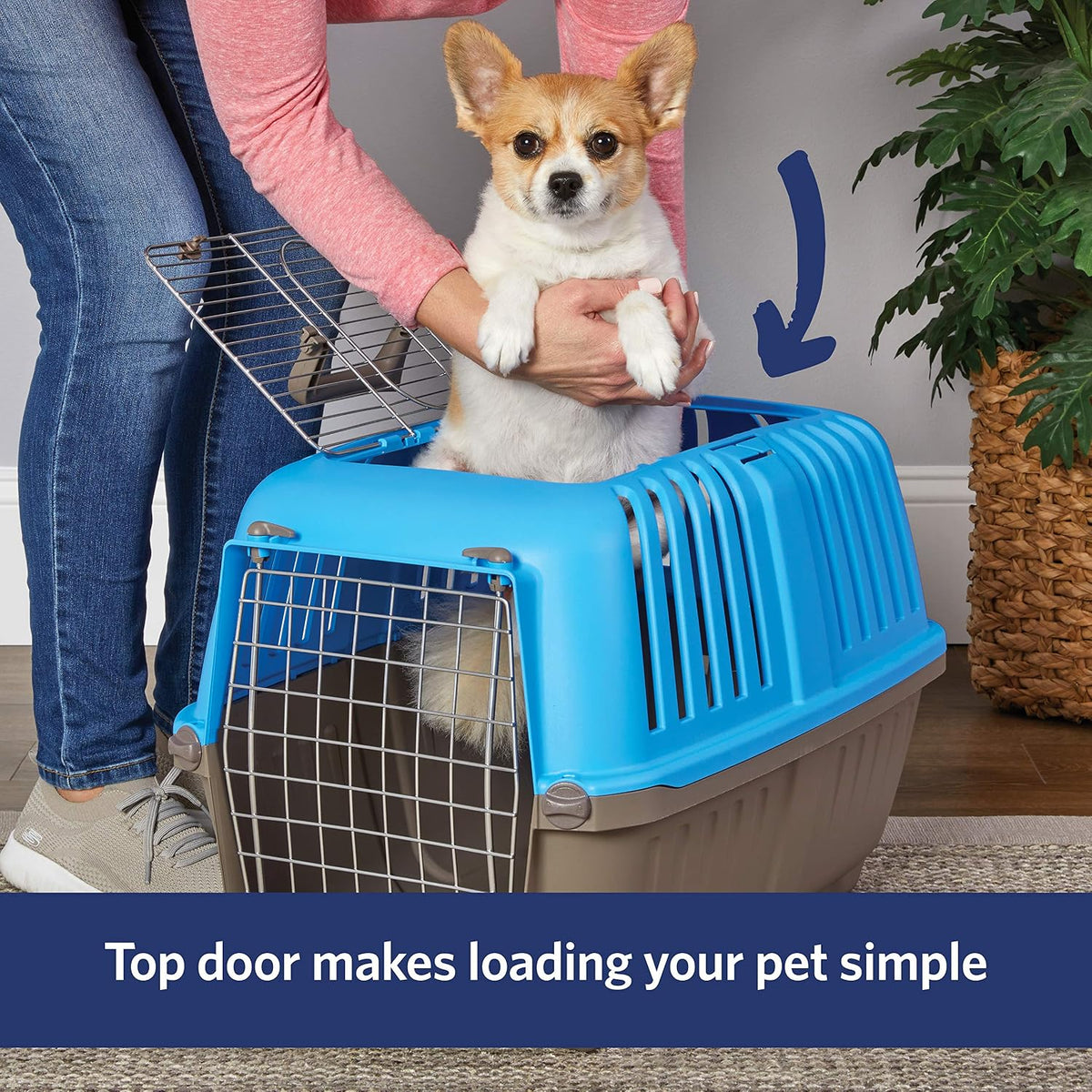Spree by Midwest 24-Inch Travel Carrier, Blue, Fits Pets up to 25 lbs