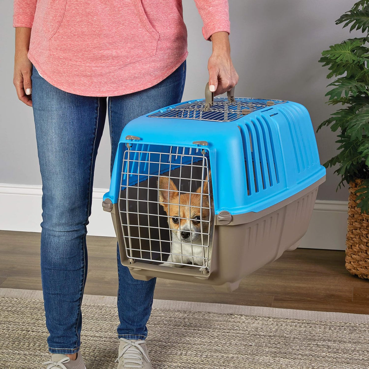 Spree by Midwest 24-Inch Travel Carrier, Blue, Fits Pets up to 25 lbs