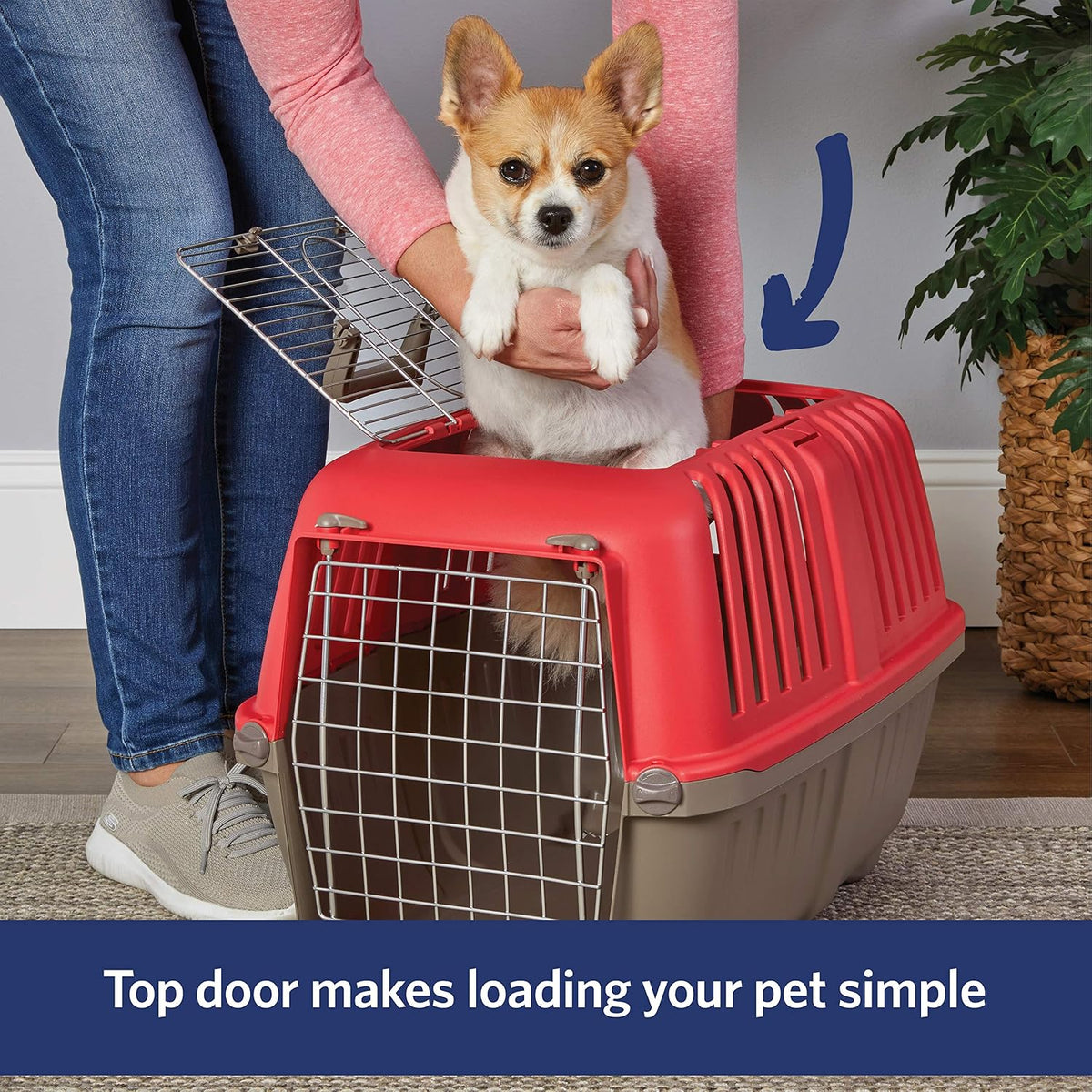 Spree by Midwest 24-Inch Travel Carrier, Blue, Fits Pets up to 25 lbs