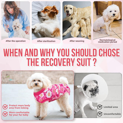 Recovery Suit for Dogs, Female Male Spay Neuter Post Surgery Suit