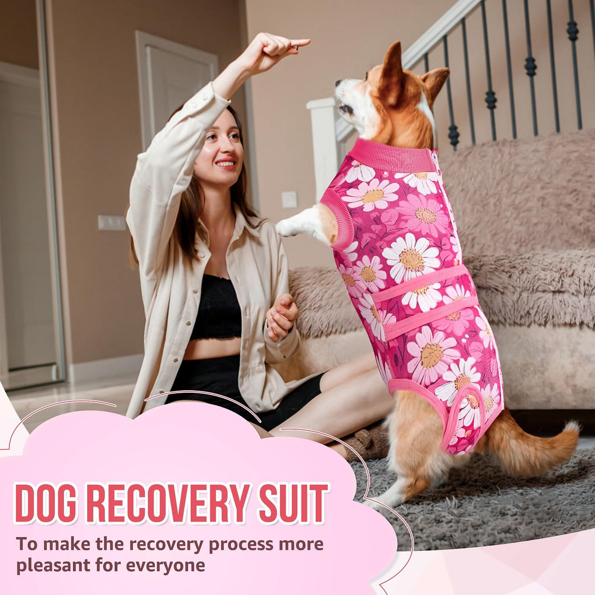 Recovery Suit for Dogs, Female Male Spay Neuter Post Surgery Suit