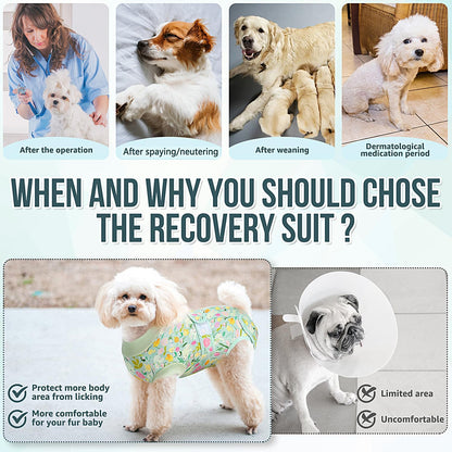 Recovery Suit for Dogs, Female Male Spay Neuter Post Surgery Suit