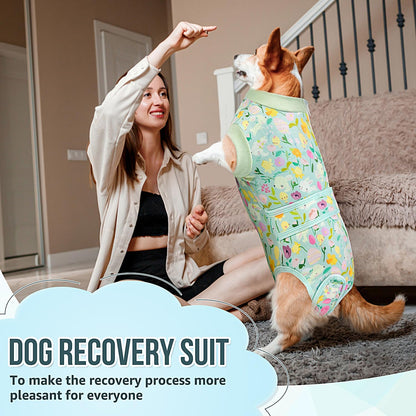 Recovery Suit for Dogs, Female Male Spay Neuter Post Surgery Suit